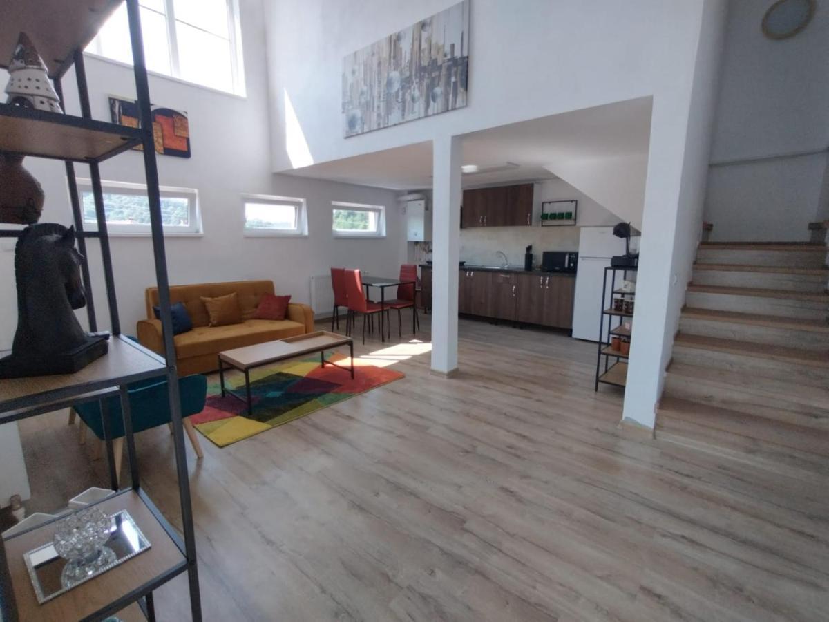 Apartament Alyosha Σιγκισοάρα Εξωτερικό φωτογραφία